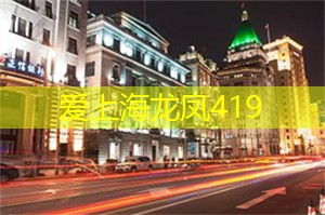 爱上海龙凤419：情绪零碎